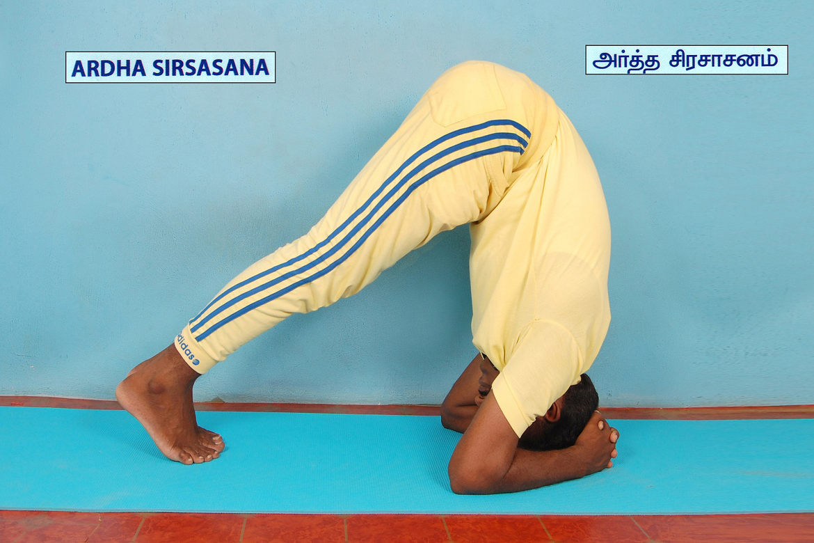 MAHANANDHA YOGALAYAA